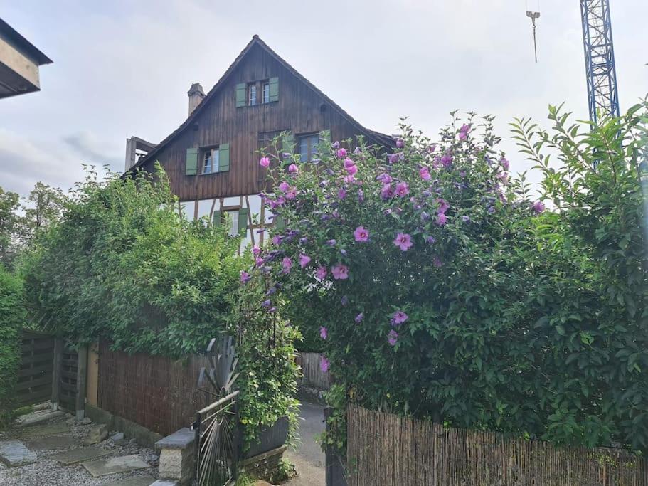 3 Bedroom Swiss House On 3 Floors Oberglatt 외부 사진