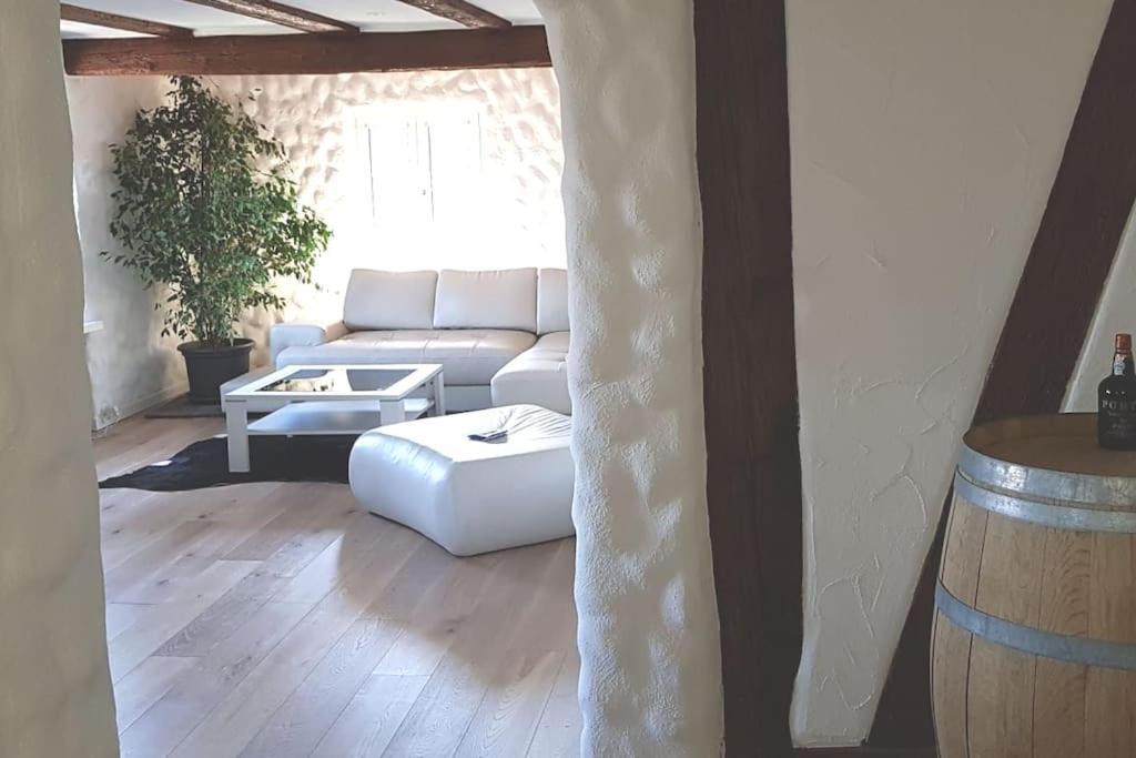 3 Bedroom Swiss House On 3 Floors Oberglatt 외부 사진