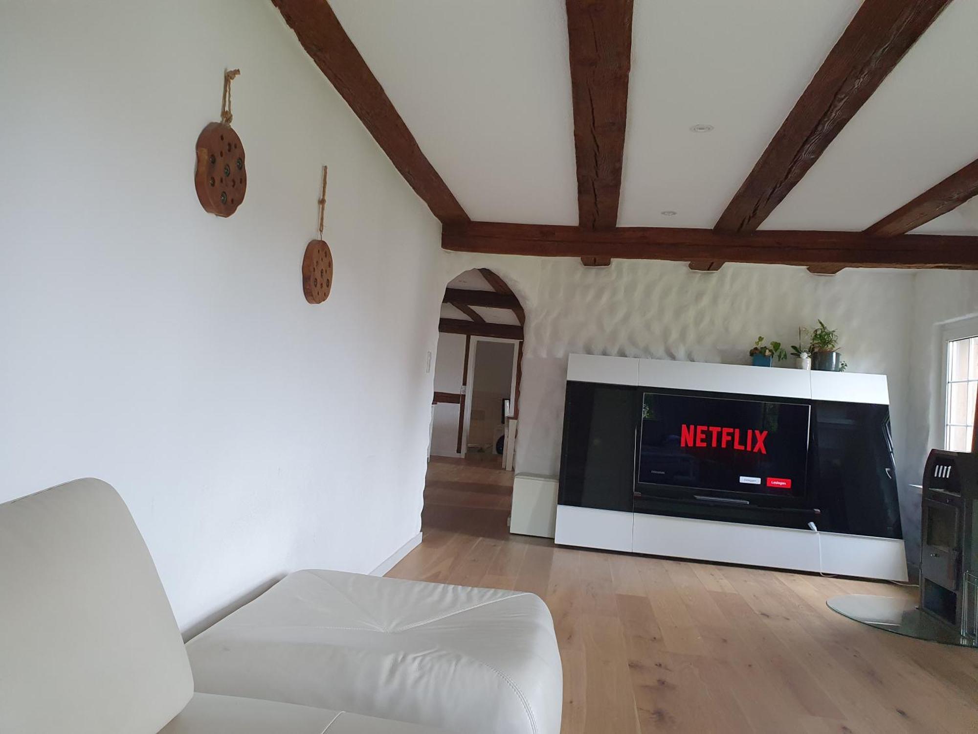 3 Bedroom Swiss House On 3 Floors Oberglatt 객실 사진